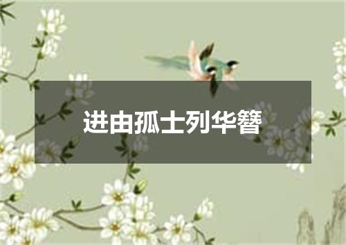 进由孤士列华簪