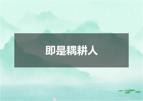 即是耦耕人
