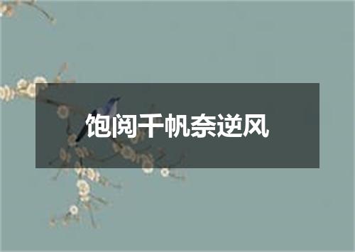 饱阅千帆奈逆风