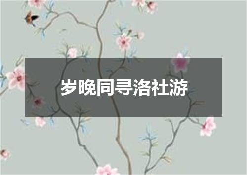岁晚同寻洛社游