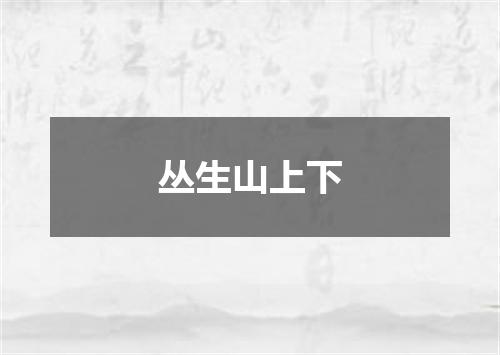 丛生山上下
