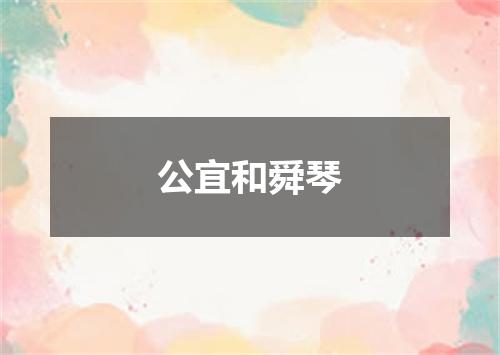 公宜和舜琴