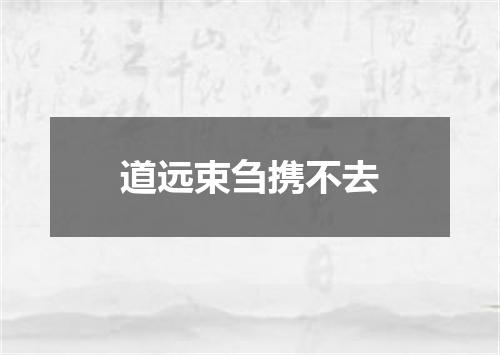 道远束刍携不去