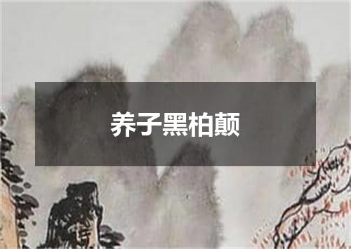 养子黑柏颠