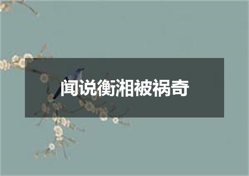 闻说衡湘被祸奇