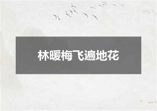 林暖梅飞遍地花