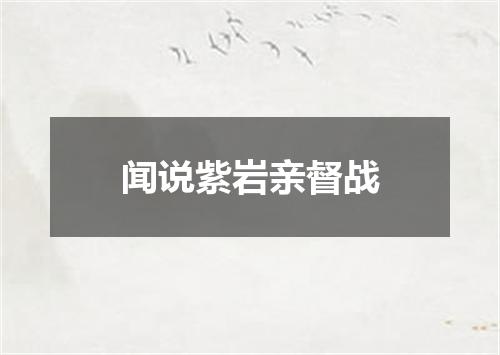 闻说紫岩亲督战