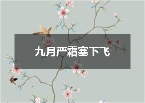 九月严霜塞下飞