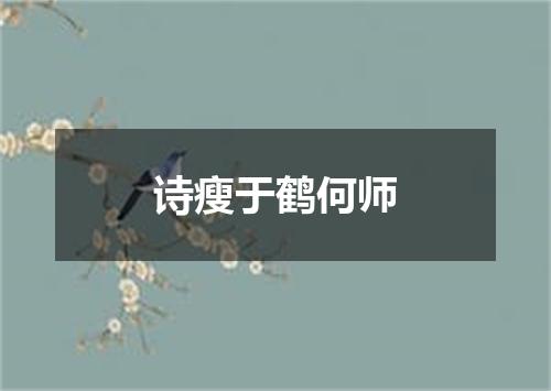 诗瘦于鹤何师