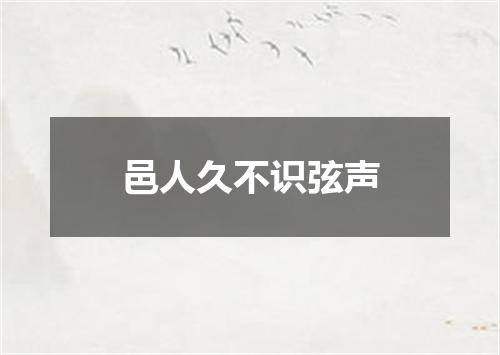 邑人久不识弦声