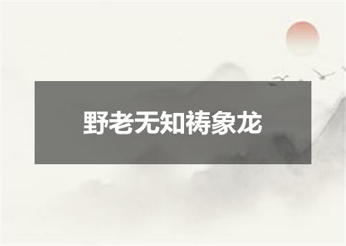 野老无知祷象龙