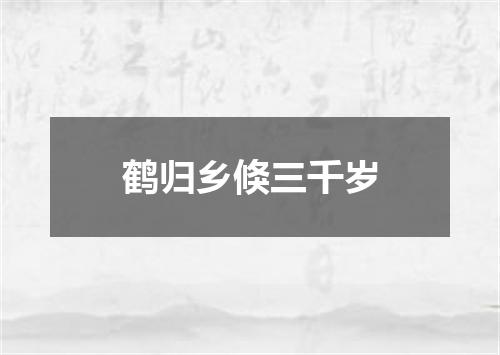 鹤归乡倏三千岁