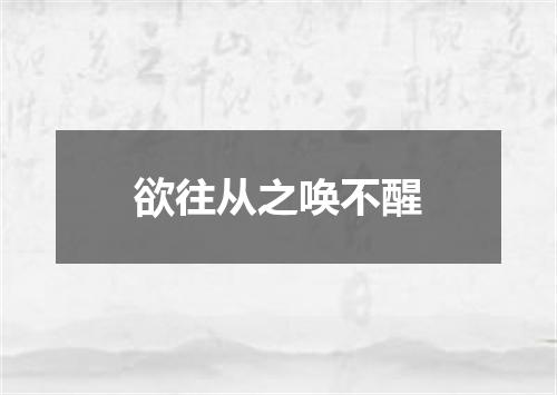 欲往从之唤不醒