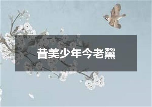 昔美少年今老黧