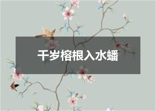 千岁榕根入水蟠