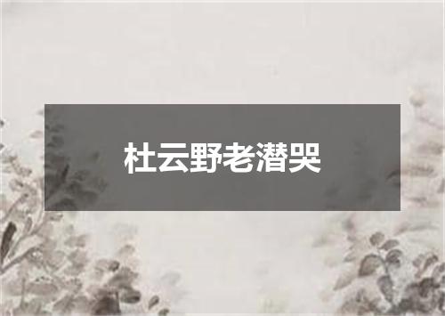 杜云野老潜哭