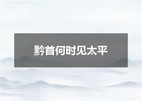 黔首何时见太平