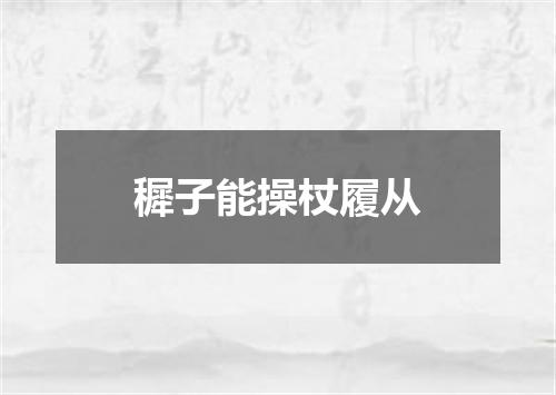 穉子能操杖履从