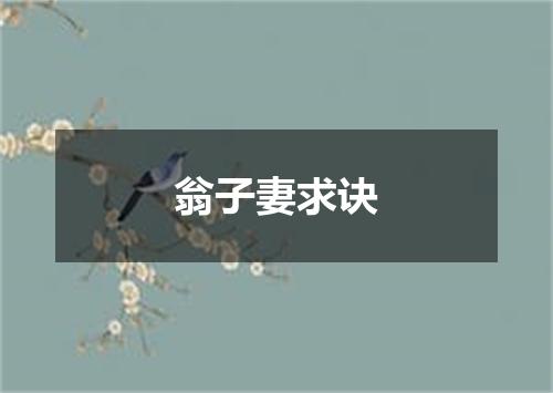 翁子妻求诀