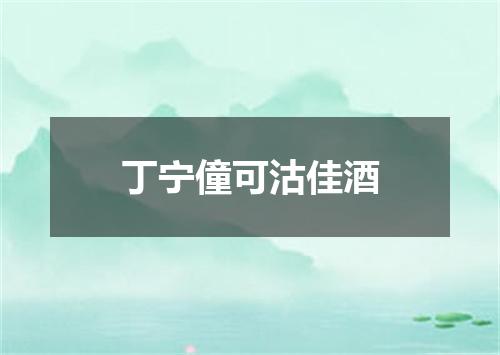 丁宁僮可沽佳酒