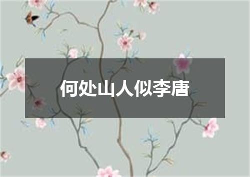 何处山人似李唐