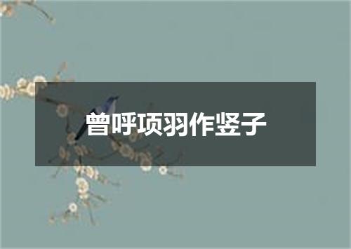 曾呼项羽作竖子