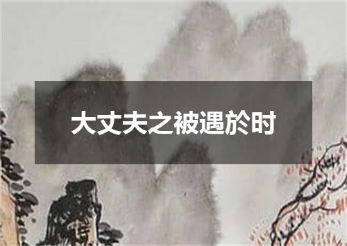 大丈夫之被遇於时