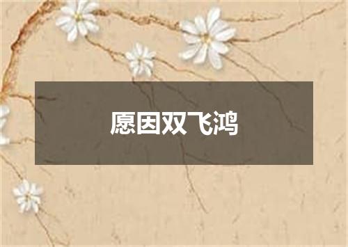 愿因双飞鸿