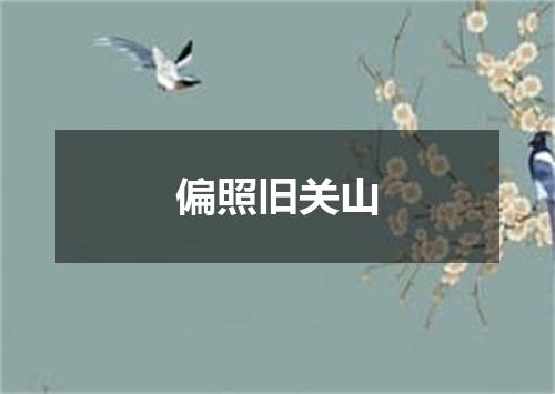 偏照旧关山