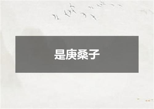 是庚桑子