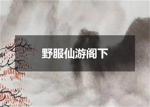 野服仙游阁下