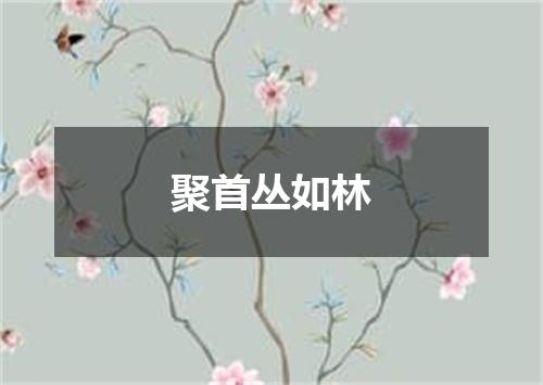 聚首丛如林