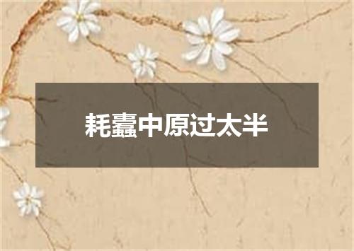 耗蠹中原过太半