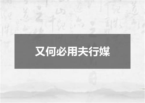 又何必用夫行媒