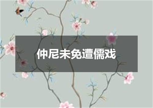 仲尼未免遭儒戏