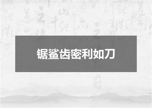 锯鲨齿密利如刀