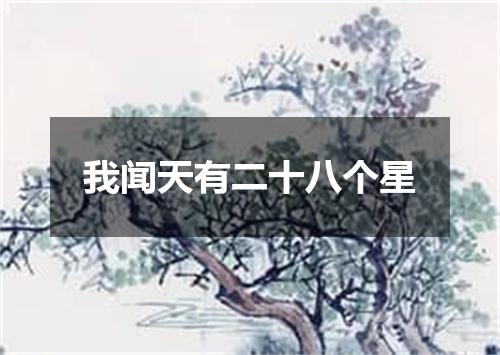 我闻天有二十八个星