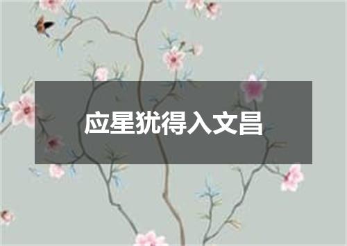 应星犹得入文昌