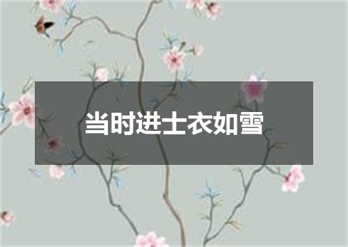 当时进士衣如雪