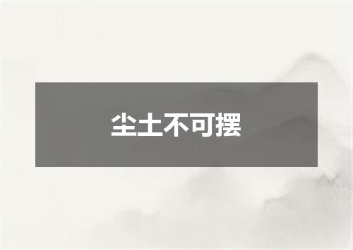 尘土不可摆