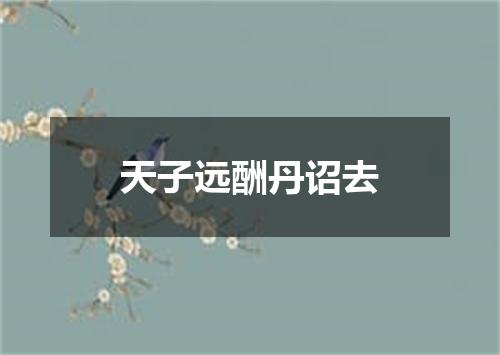 天子远酬丹诏去