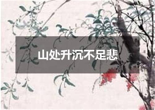 山处升沉不足悲