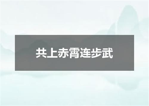 共上赤霄连步武