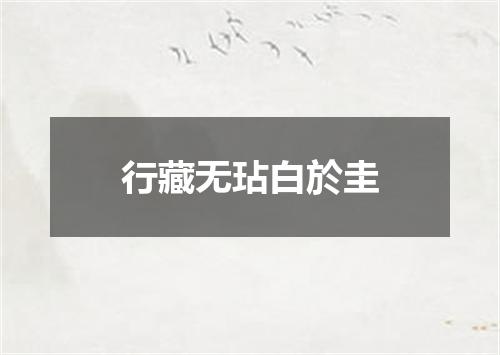 行藏无玷白於圭