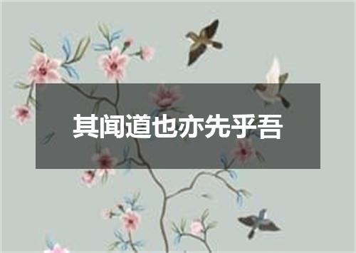 其闻道也亦先乎吾