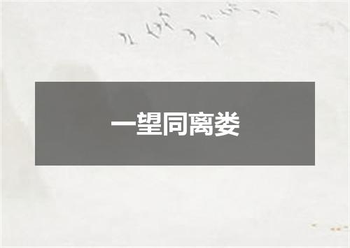 一望同离娄