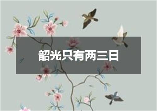 韶光只有两三日