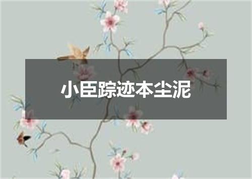小臣踪迹本尘泥