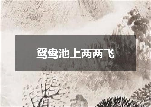 鸳鸯池上两两飞