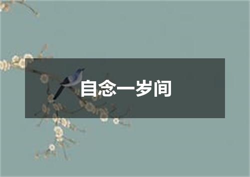 自念一岁间